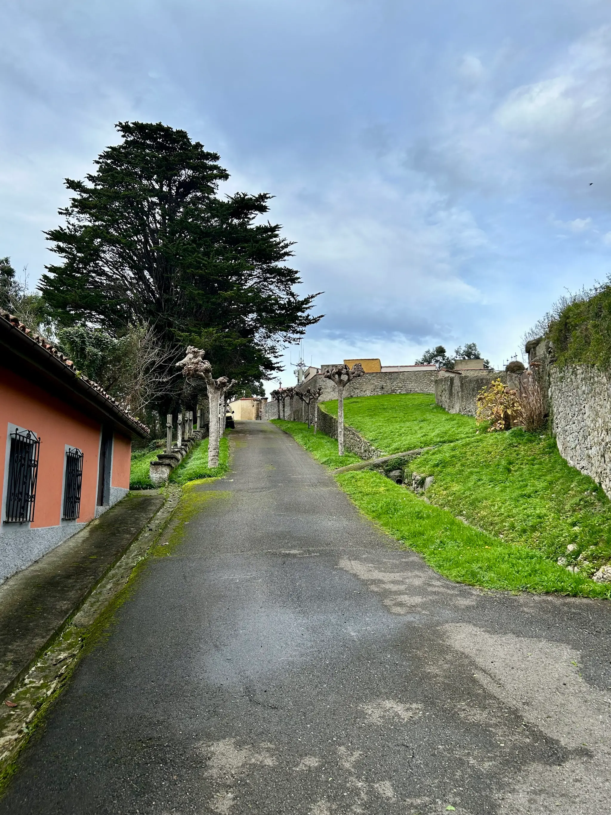 Camino asfaltado ascendente en Colunga flanqueado por muros de piedra cubiertos de musgo verde, con una casa rosa a la izquierda, un gran árbol al fondo y cielo nublado