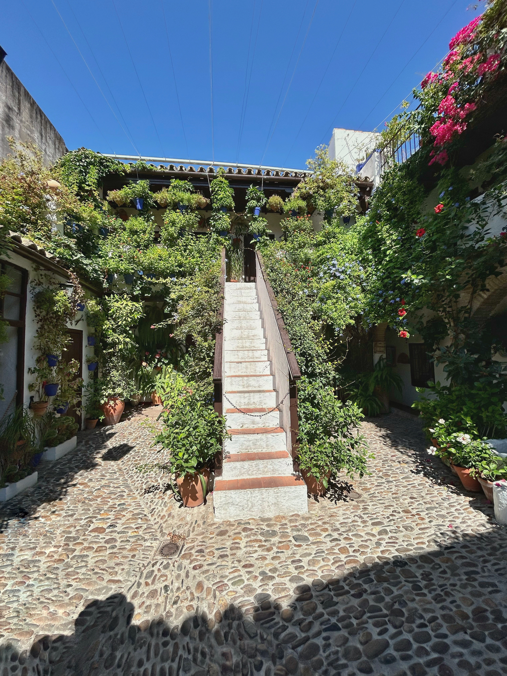 Patio tradicional de Córdoba con escaleras centrales, plantas y macetas floridas bajo un cielo azul