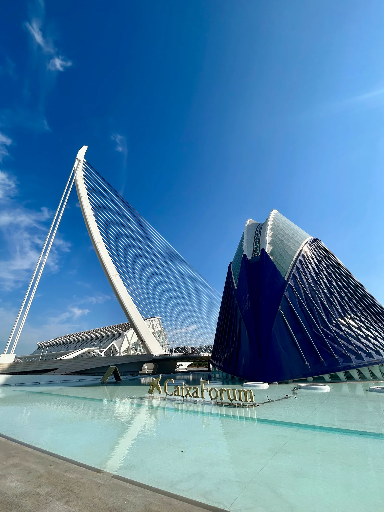 Museo de las Ciencias de Valencia reflejado en el lago artificial con arquitectura moderna y líneas limpias